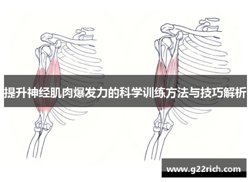 提升神经肌肉爆发力的科学训练方法与技巧解析