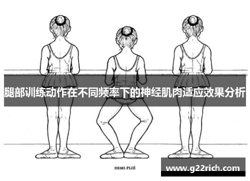 腿部训练动作在不同频率下的神经肌肉适应效果分析